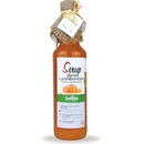 Camellus Sirup Dýňový s pomerančem 0,5 l