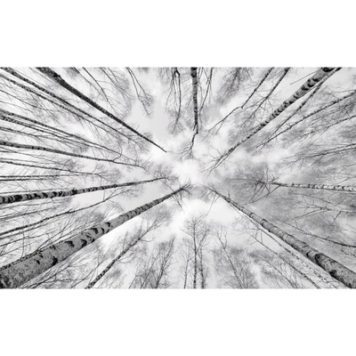 Komar Vliesová fototapeta White-blue 450 x 280 cm