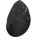 NATEC Euphonie Pro NMY-2291