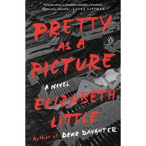 Pretty as a Picture | Little, Elizabeth (ISBN: 9780143110552)