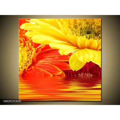 Obraz Žlutá a oranžová gerbera