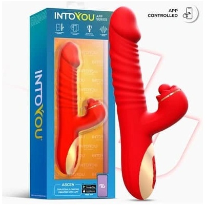 INTOYOU APP SERIES Ascen
