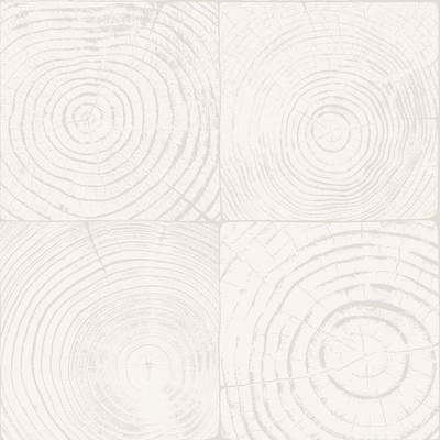 Origin 347546 Sivobiela vliesová tapeta imitacia dreva s letokruhmi Matières Wood rozmery 0,53 x 10,05 m