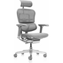 Antares Ergohuman Elite 2