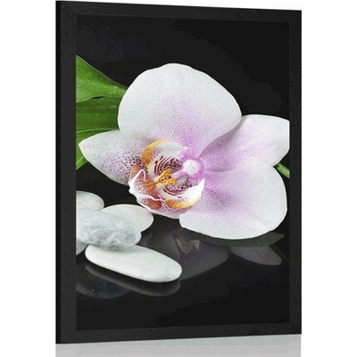 Plakát zen kameny a orchidej - 40x60 black