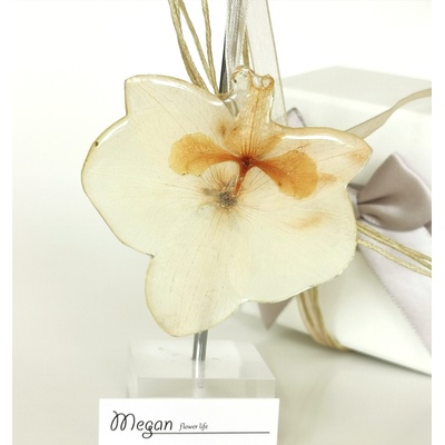 Meganflo Бяла Орхидея