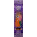 Sonnentor Chai sirup bio 250 ml