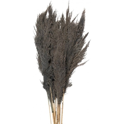 Šedá kytice sušené květy bambusu Bamboo – 100 cm