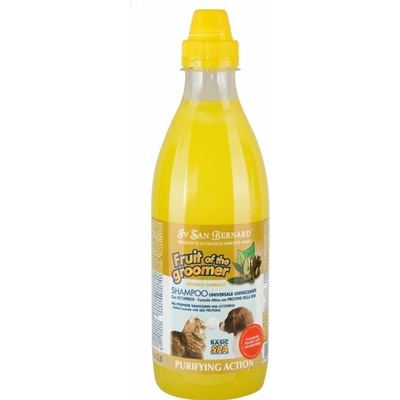 IV San Bernard Zenzero 1000 ml