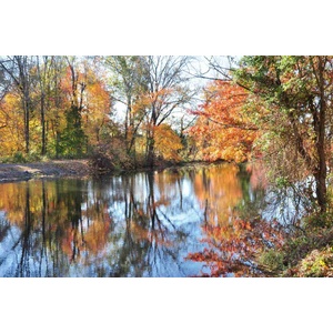 DIMEX ART Флизелинов фототапет есенен пейзаж 375 x 250 см