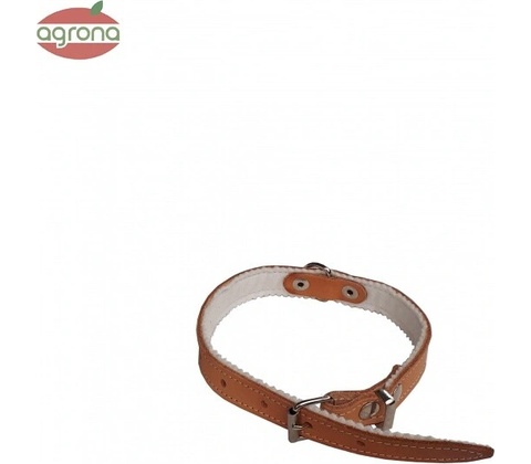 Tatrapet Obojok P