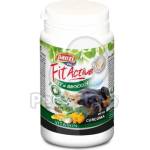 Fit Active FitActive Fit-A-Broccoli 60 бр