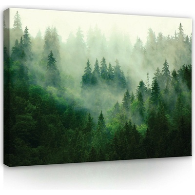 Postershop Obraz na plátně: Nature Forest Forest Fog Green - 100x75 cm