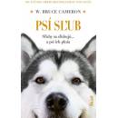 Psí sľub