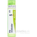 Iris Versicolor gra.1 x 4 g 5CH