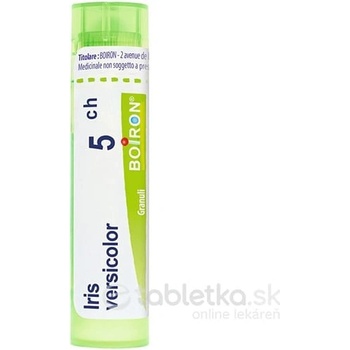 Iris Versicolor gra.1 x 4 g 5CH