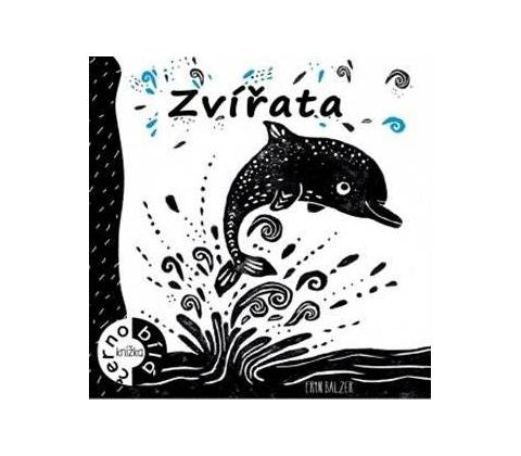 Zvířata