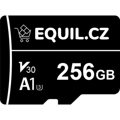 EQ Memory 256GB micro SDHC 661345