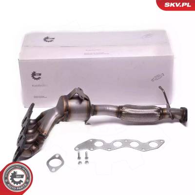 Katalyzátor ESEN SKV 62SKV028
