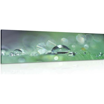 Obraz kapka rosy - 90x30
