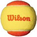 Wilson Starter 1 ks