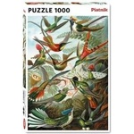 Piatnik Puzzle 1000 - Haeckel, PYATNIK Hummingbirds