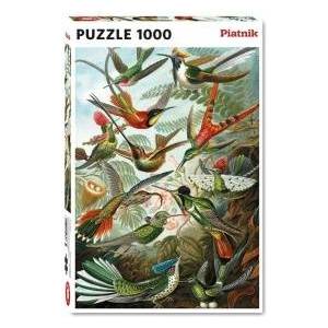 Piatnik Puzzle 1000 - Haeckel, PYATNIK Hummingbirds