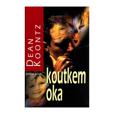 Koutkem oka