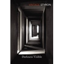 Darkness Visible - William Styron