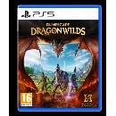 RuneScape: Dragonwilds
