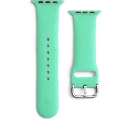 HQWear Силиконова каишка APS за Apple Watch 8/7/6/5/4/3/2 / SE (41/40 / 38mm), мента (9145576259238)