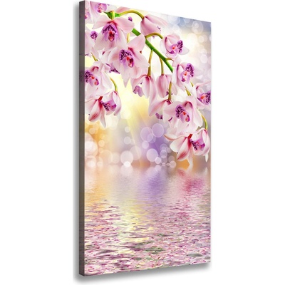 Vertikálny foto obraz na plátne do obývačky Orchidea 50x100 cm