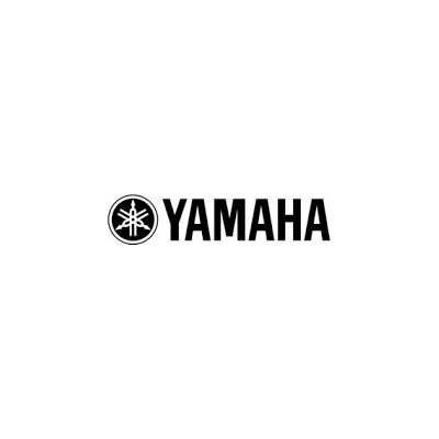 Yamaha TRUE X BAR 40A