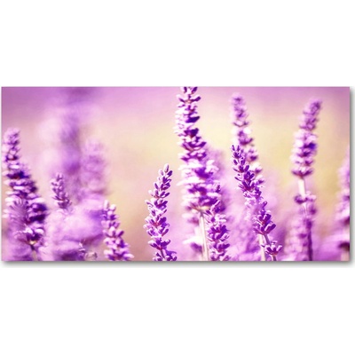 Fotoobraz na skle levanduľa 100x50 cm
