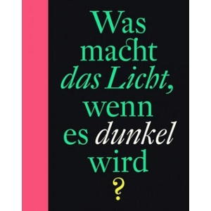 Was macht das Licht, wenn es dunkel wird? | Bette Westera, Sylvia Weve, Rolf Erdorf (ISBN: 9783946100843)