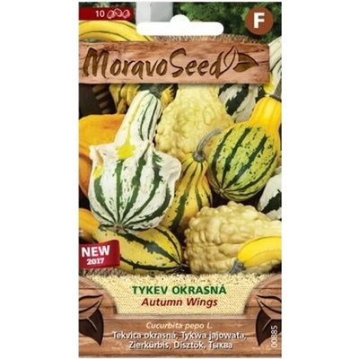 Semínka MoravoSeed Tykev okrasná AUTUMN WINGS 00885