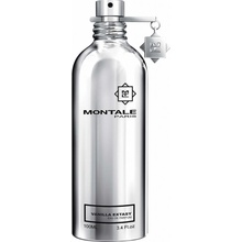 Montale Vanilla Extasy parfumovaná voda dámska 100 ml