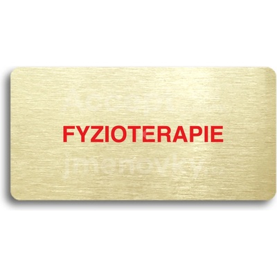 ACCEPT Piktogram FYZIOTERAPIE - zlatá tabulka - barevný tisk bez rámečku