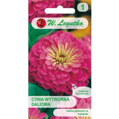 W. Legutko Осветление елегантна далия - розово