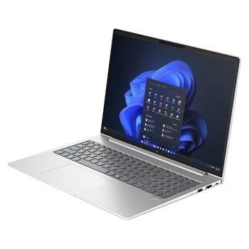 HP EliteBook 665 G11 A37YZET
