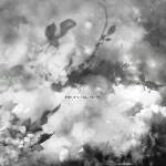 Exitmusic - The Recognitions (LP) (0616892556640)