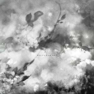 Exitmusic - The Recognitions (LP) (0616892556640)