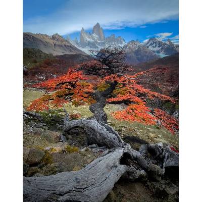 Fotografie - Li, Bing: Podzim ve Fitz Roy - reprodukce obrazu