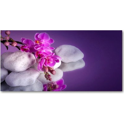 Foto obraz sklo tvrzené orchidea 100x50 cm