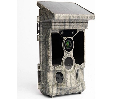 Wachman Solar Pro