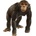 Schleich Фигурка Schleich Wild Life - Шимпанзе, 8.3 cm (14883)