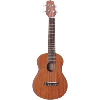 Takamine GUS1