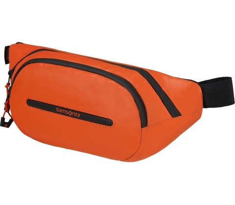 Samsonite Ecodiver