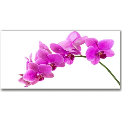 Fotoobraz na skle ružová orchidea 100x50 cm