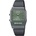 Casio AQ-800ECGG-3AEF
